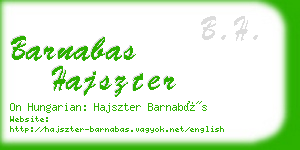 barnabas hajszter business card